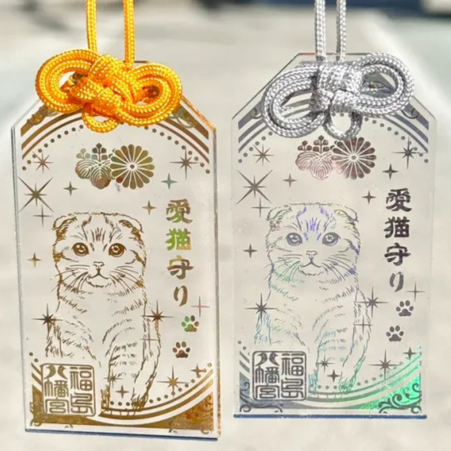 日本福島八幡宮神社 透明愛貓御守 (蘇格蘭折耳貓-現貨)