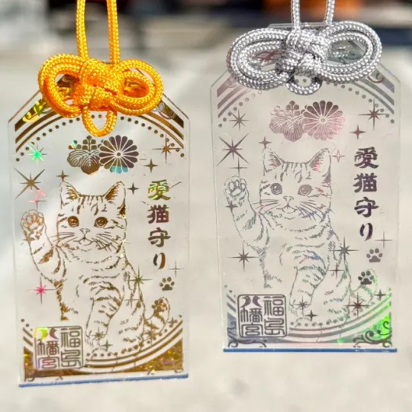 日本福島八幡宮神社 透明愛貓御守 (曼基康貓-現貨)
