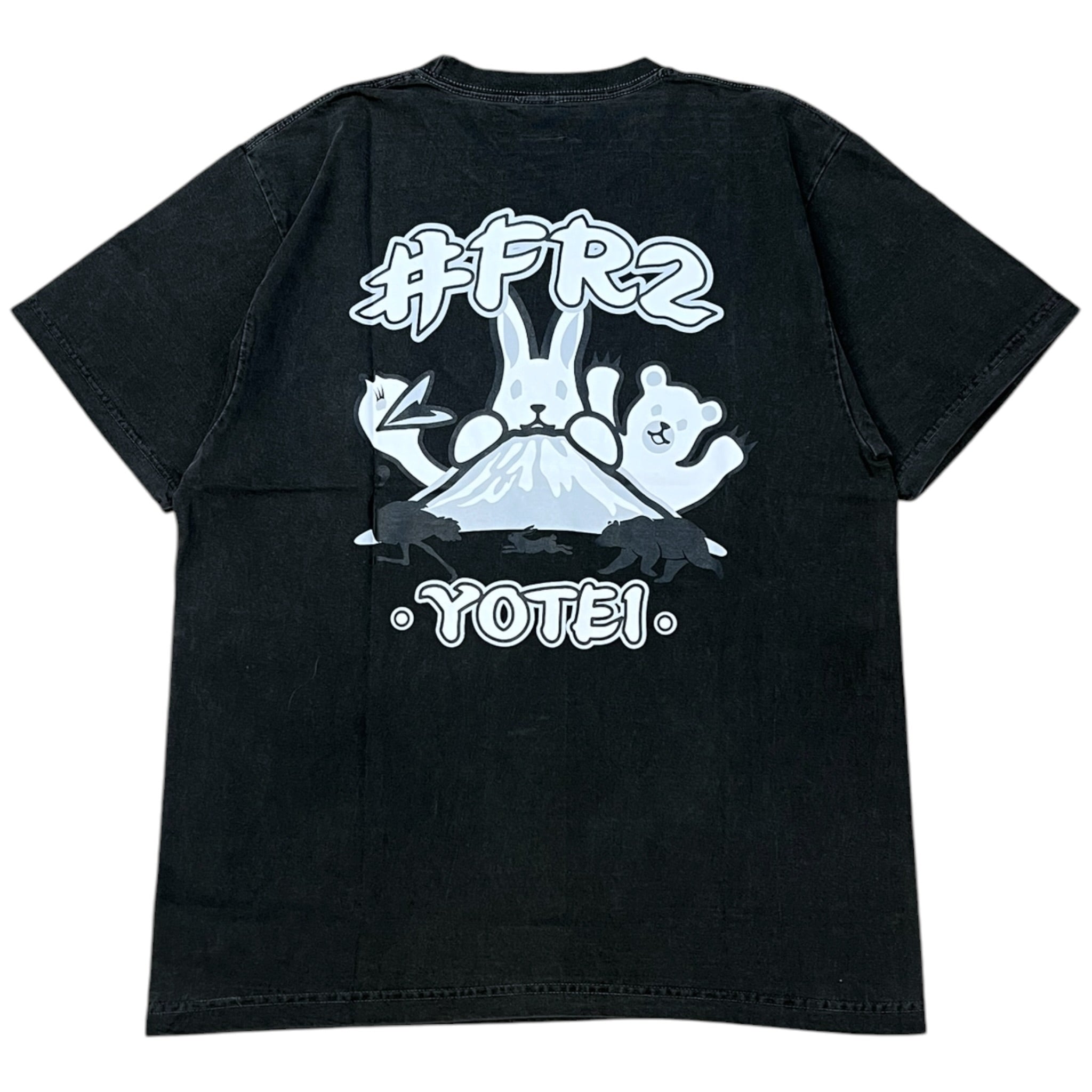 FR2 – SOLE.POOL