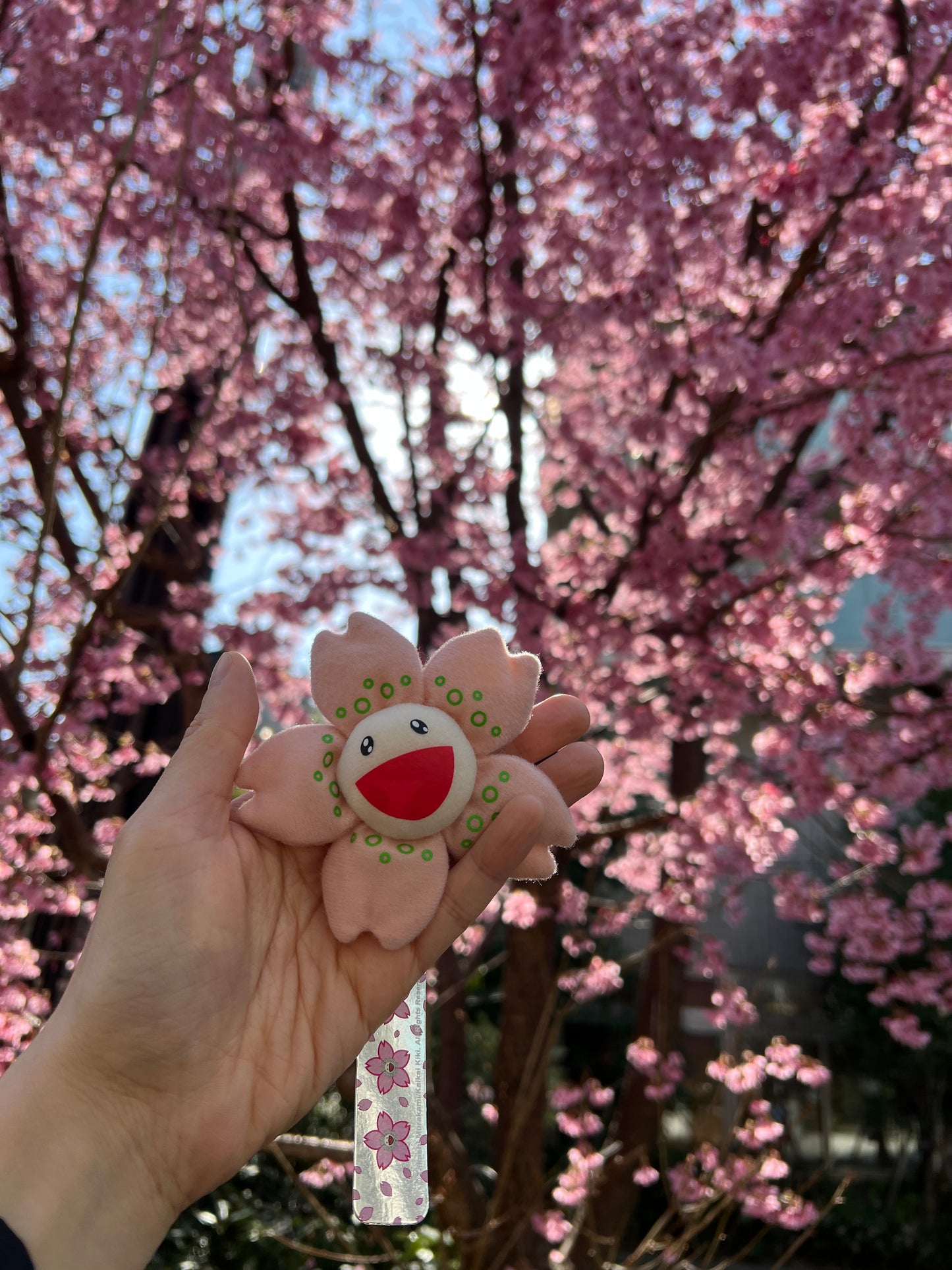 村上隆 Takashi Murakami Sakura Flower Pin 9cm (珠鏈)