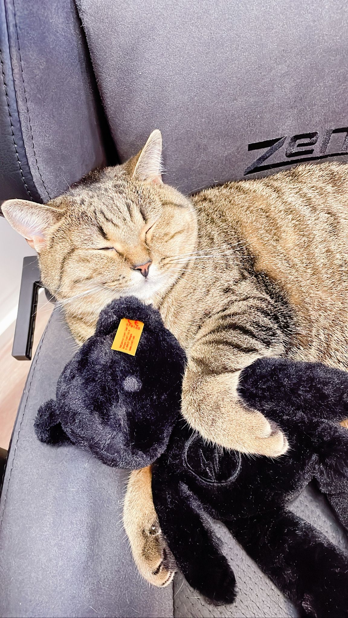 Fragment x Steiff Bear