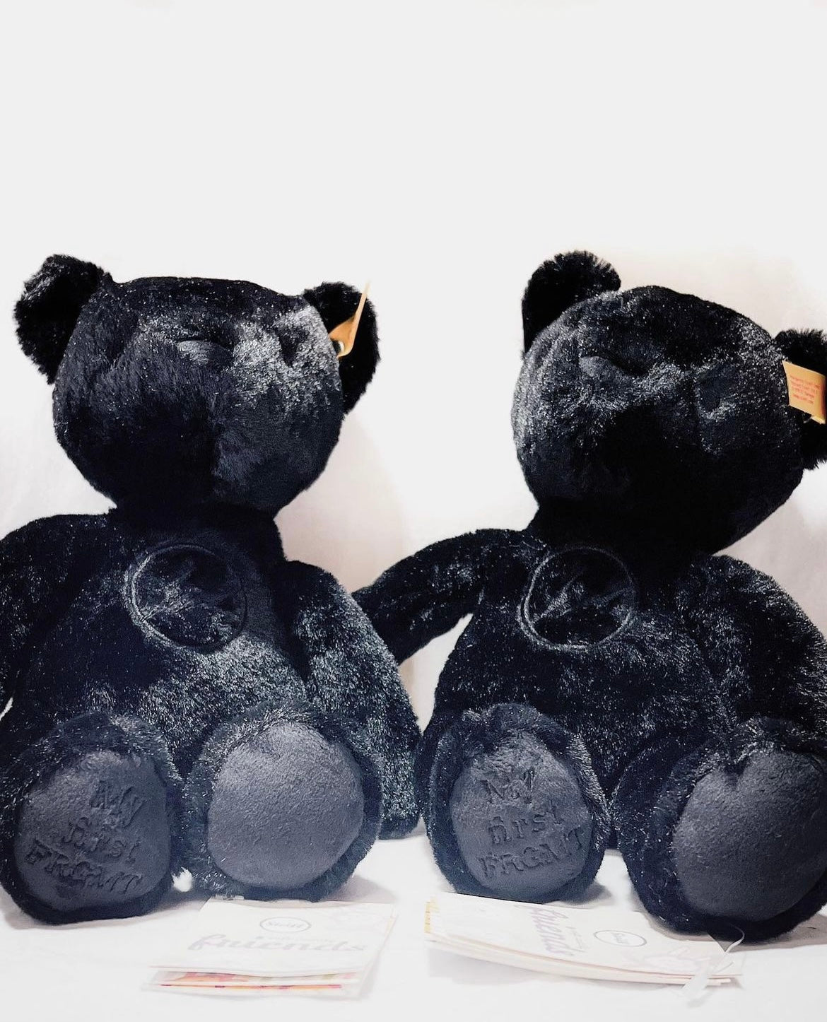 Fragment x Steiff Bear