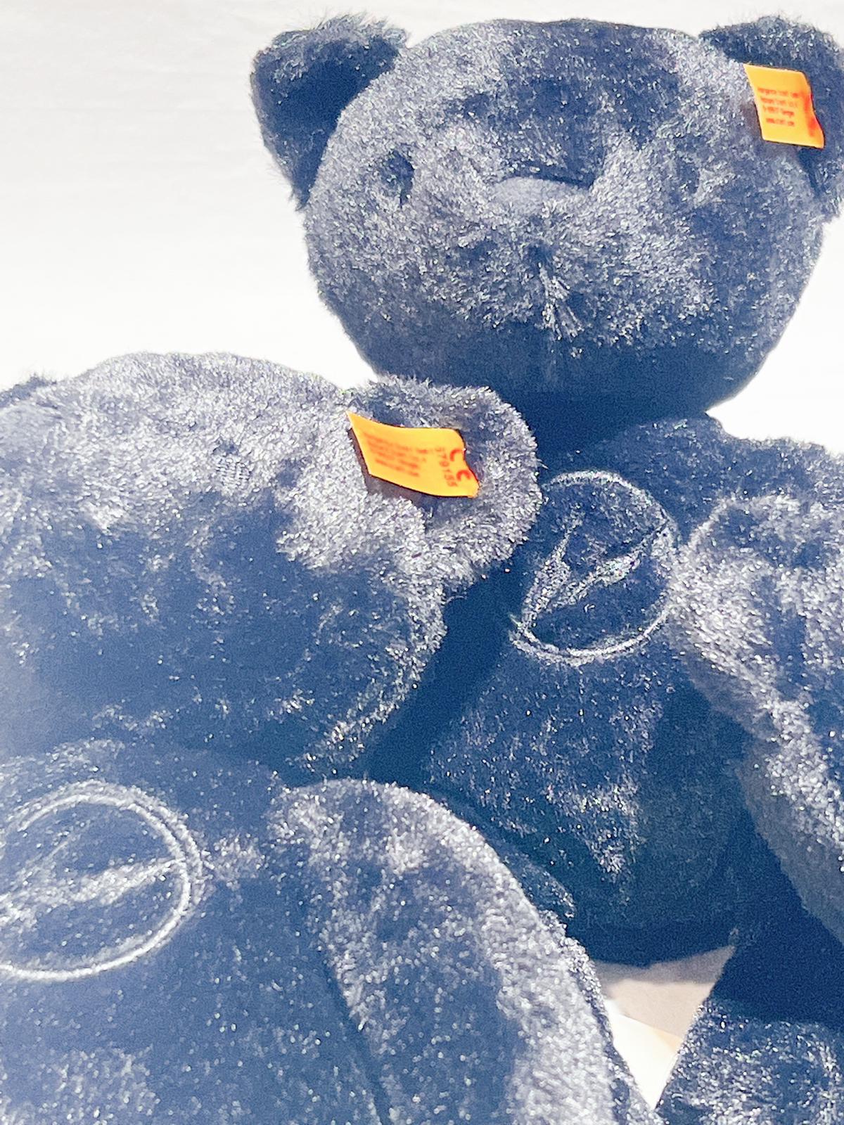 Fragment x Steiff Bear